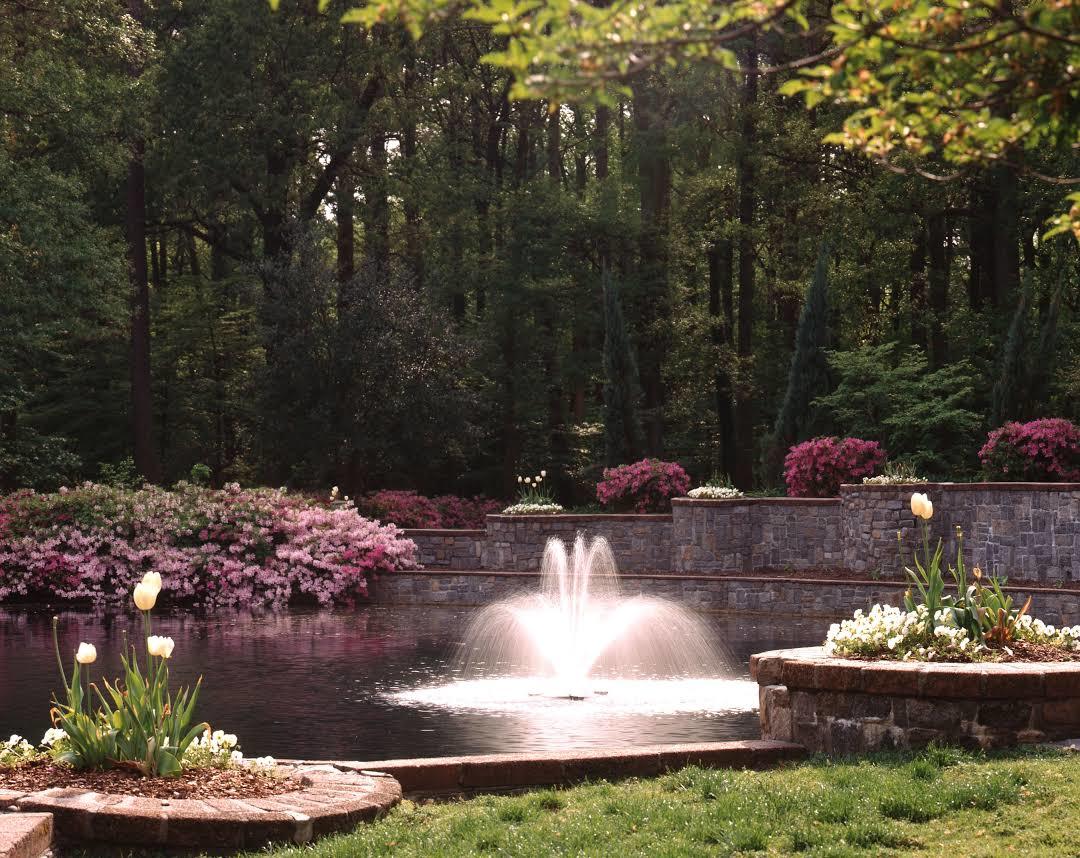 Norfolk Botanical Garden